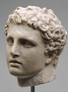 a white marble bust of a man with curly hair