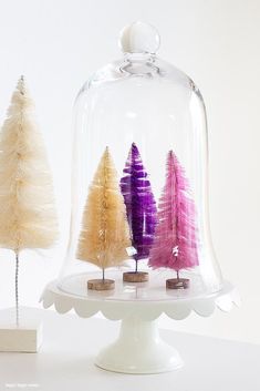 three small trees under a glass clochel on a white table with other decorations