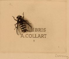 a black and white drawing of a bee on a piece of paper that says libris a collat