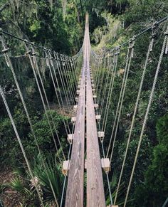 a very long wooden bridge in the middle of some trees