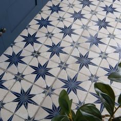 a tiled floor with blue and white designs on it, next to a potted plant