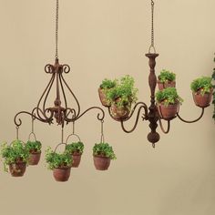 a chandelier with potted plants hanging from it