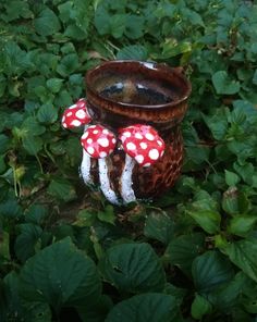 three red and white mushrooms are in a pot on the ground next to green leaves