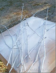 some white branches on top of a box