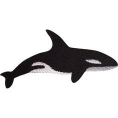 an orca whale is shown on a white background