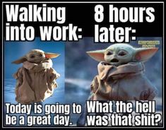 Customer Service Quotes Funny, Counselor Humor, Job Memes, Memes Facebook, Yoda Quotes, Yoda Images, Coworker Humor, Job Humor, Yoda Funny