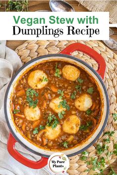 vegan stew with dumplings in a red pot