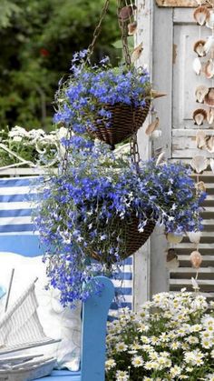 blue and white flowers hanging from the side of a building