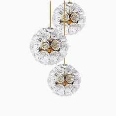 three circular glass chandeliers hanging from gold metal rods on a white background,