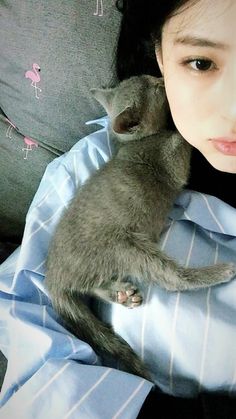 a woman laying in bed with a cat on her back