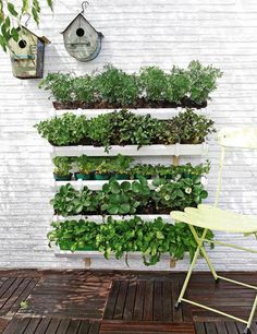 a chair sitting in front of a white wall filled with plants