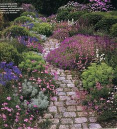 an image of a garden path surrounded by flowers