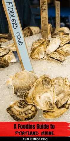 the cover of a book with oysters on ice in front of it and two wooden signs