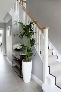 a plant in a large white pot next to a stair case on the side of a staircase