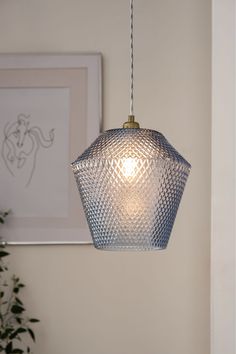 a glass light hanging from a ceiling in a room with a potted plant on the wall