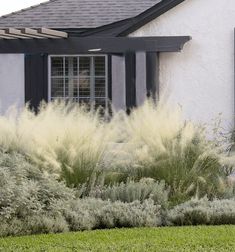 the house is white with black shutters on it's windows and grass in front