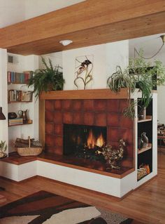 a living room with a fire place and bookshelves on the wall above it