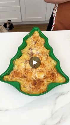 a green plate with food on it sitting on a counter next to a person and a dog