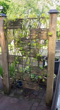 a wooden trellis with plants growing on it