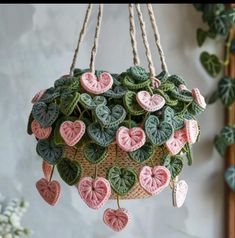 a potted plant with pink and green hearts hanging from it's hooks on a wall