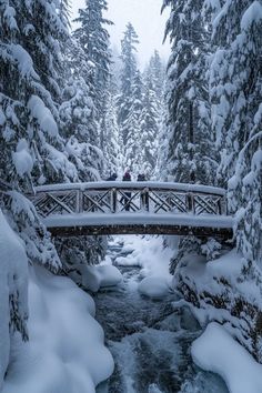 two people are standing on a bridge over a stream in the woods covered with snow