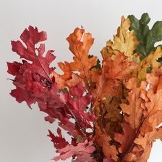 an arrangement of autumn leaves in a vase