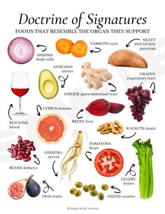 foods that resemble the organs they support Functional Health, Resep Diet, Health Research, Holistic Nutrition, Healing Food, Types Of Food, Health Remedies, Health And Wellbeing, Healthy Tips