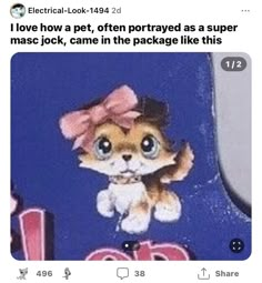 an image of a cat with a bow on it's head and caption that reads, i love how a pet, often portrayed as a supermask, came in the package like this