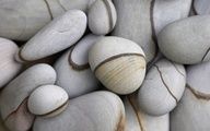 some white rocks in a circle on a wooden floor with a black and white border