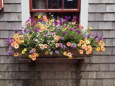 a window box filled with lots of colorful flowers