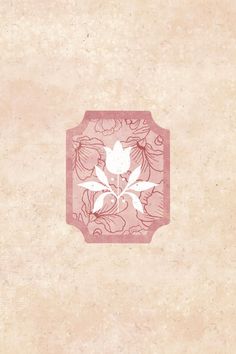 a pink and white flower on a beige background