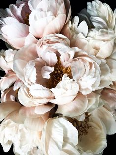 a bouquet of white and pink flowers on a black background