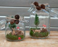 two glass jars filled with moss and pine cones on top of a wooden table next to each other