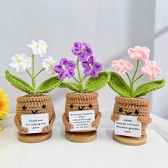 three small crocheted pots with flowers in them