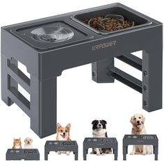 two dogs and three cats eating food out of the same elevated dog feeder trays