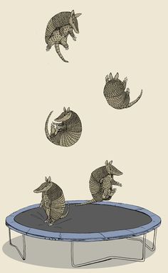 an animal jumping on a trampoline with other animals in the air above it