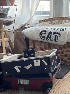 a cat is sitting in a suitcase on the floor next to other luggage and baskets