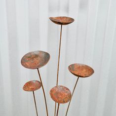 four metal flowers in a vase on a table