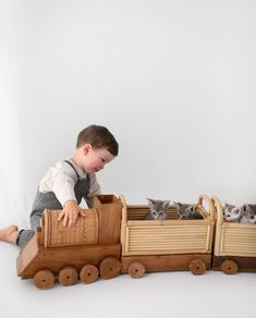 a young boy playing with wooden toy train and kittens on the track in front of him