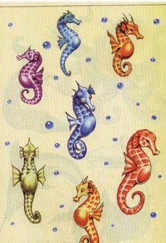 the seahorses are all different colors and sizes, but one is not in color