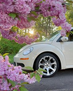 a white car parked in front of pink flowers