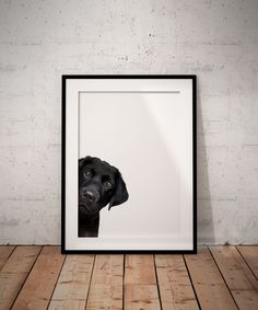 a black dog's head is framed in a white frame on a wooden floor