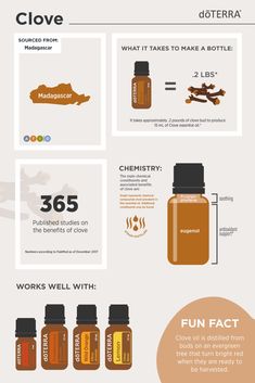 Clove Essential Oil Benefits, Clove Oil Uses, Doterra Clove, Essential Oils Properties, Essential Oils For Breathing, Cloves Benefits