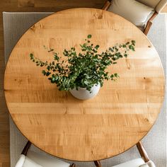 an overhead view of a table with chairs and a potted plant on the top