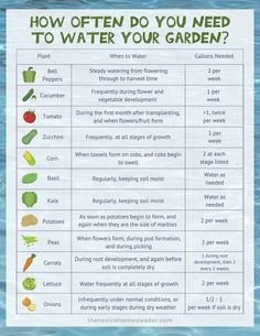 a poster with the words how often do you need to water your garden?