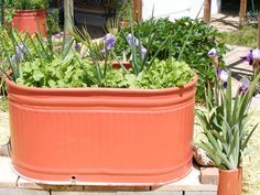 an orange planter filled with lots of green plants and purple flowers in front of a house