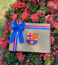 a box with a blue ribbon tied around it sitting in front of some red flowers