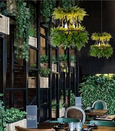 an indoor restaurant with plants hanging from the ceiling and wooden tables in front of it