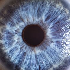 the iris of an eye is shown in this close up photo