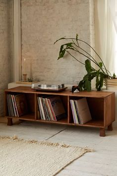 an entertainment center with record player and plant in the corner